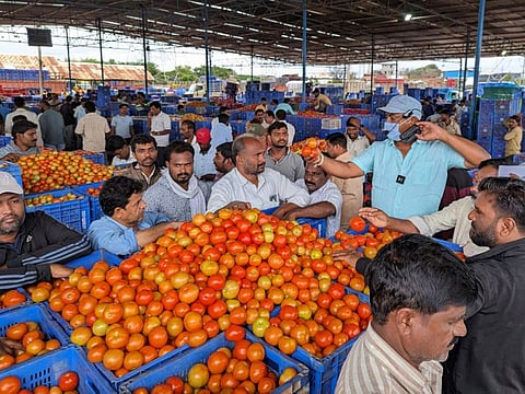 Traders jostle for limited supplies, at a live auction, at one of the country's largest wholesale tomato markets, in Kolar district in the southern state of Karnataka, on July 24, 2023.