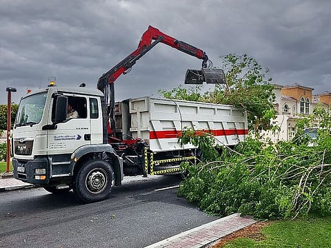 Most reports received by the municipality's command-and-control centre were about fallen trees