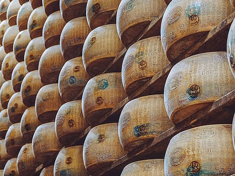 For illustrative purposes only. The man was buried under the cheeses when a shelf broke in his warehouse.