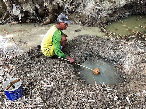 Sunardi, a 52-year-old farmer, collects murky water for daily needs from a hand-dug well on a dry riverbed, the only remainder of what was once a flowing river as drought strikes in Grobogan regency in Indonesia, July 27, 2023.