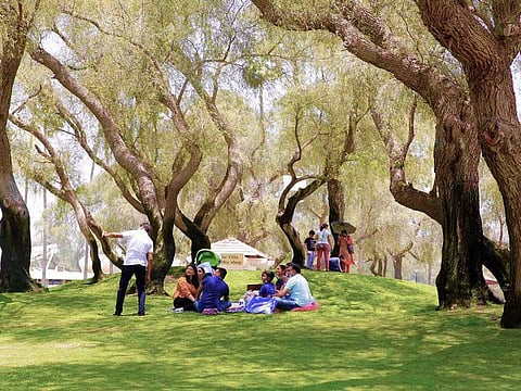 Dubai Municipality’s parks and facilities witness a record-breaking total of over 15 million visitors in the first half of 2023