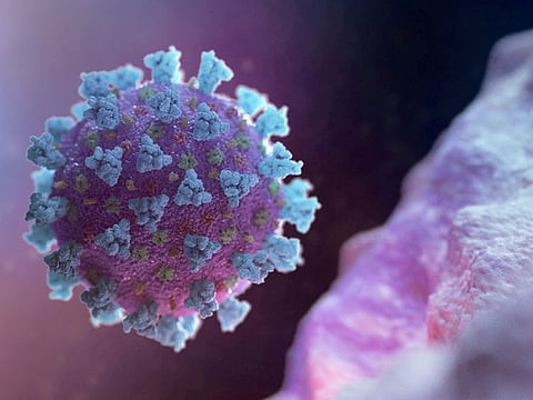 WHO designates JN.1 ‘variant of interest’ amid sharp rise in global spread