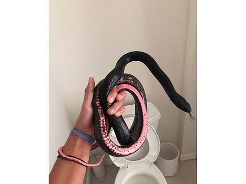 Other people thought it was a prank video and the snake was a prop