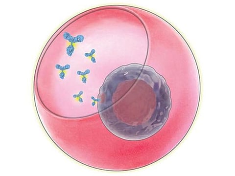Knowing which genes are associated with higher secretion of an antibody could be used by pharmaceutical makers to engineer cells that secrete large volumes of the antibody.