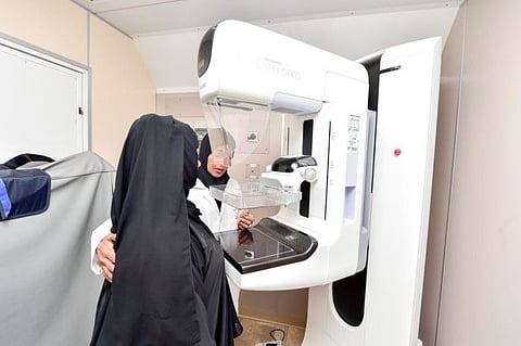 Archive image of a screening during a previous edition of the campaign