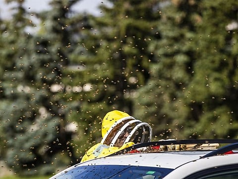 The scene prompted police to warn drivers to close their windows as they passed by and for pedestrians to avoid the area.