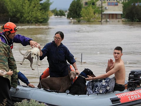 People and dogs are rescued by firefighters from an area flooded due to the impact of storm "Daniel" in the city of Larissa, Greece, September 6, 2023.