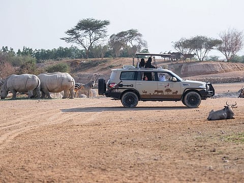 Al Ain Zoo on Friday announces that it is waiting for the arrival of its 10 millionth visitor with a massive celebration and special offers