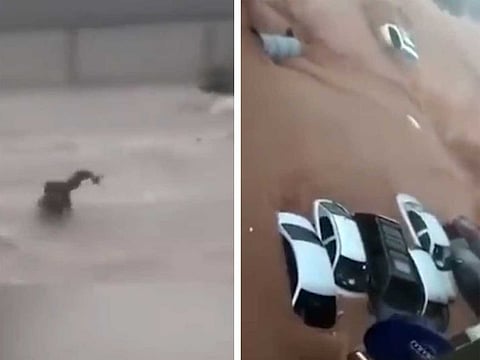 A man being swept away by flood waters and submerged cars in Al Bayda.