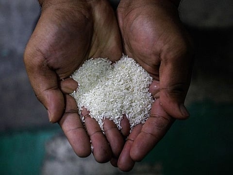 Rice is important to the diets of billions and can contribute as much as 60% of the total calorie intake for people in regions including Southeast Asia.