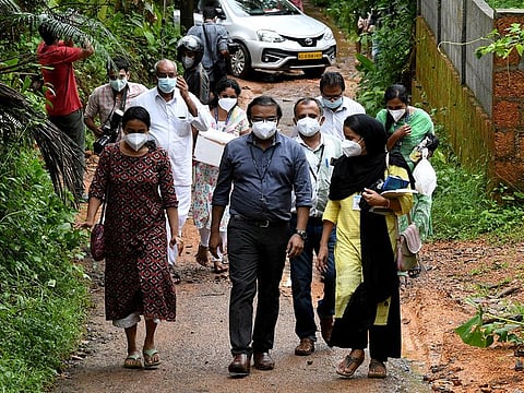 Members of a medical team from Kozhikode Medical College carry areca nut and guava fruit samples to conduct tests for Nipah virus in Maruthonkara village in Kozhikode district, Kerala, India.