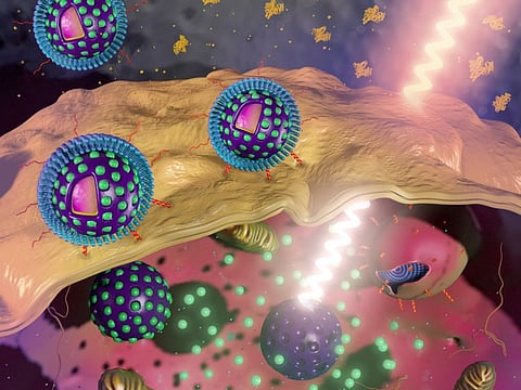 The researchers at the Magzoub Biophysics Lab at NYUAD have developed novel tiny particles that can be used with light to target and treat tumours which will make light-based cancer diagnosis and treatment much better than before.