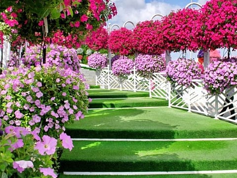 Dubai Miracle Garden opened for the 2023-24 season today with a series of enhanced offerings.