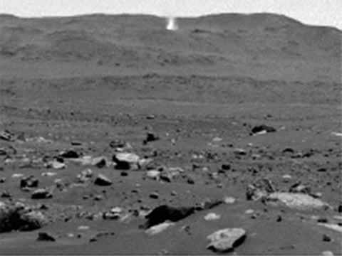 The Martian versions can grow to be much larger than those found on Earth.