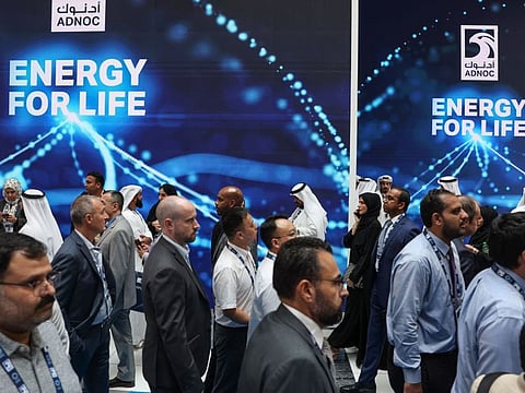 The Ruwais LNG project consists of two 4.8 million metric tonnes per annum (mtpa) natural gas liquefaction trains with a total capacity of 9.6 mtpa of LNG.