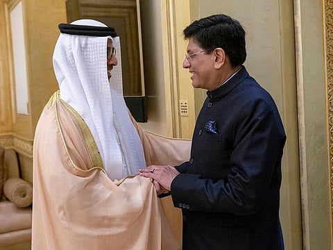 Sheikh Hamed bin Zayed Al Nahyan with Piyush Goyal.