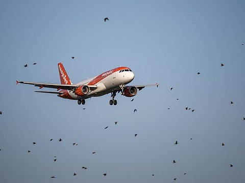 The company follows rival Ryanair Holdings in placing a massive purchase commitment this year as airlines seek to replace older planes.