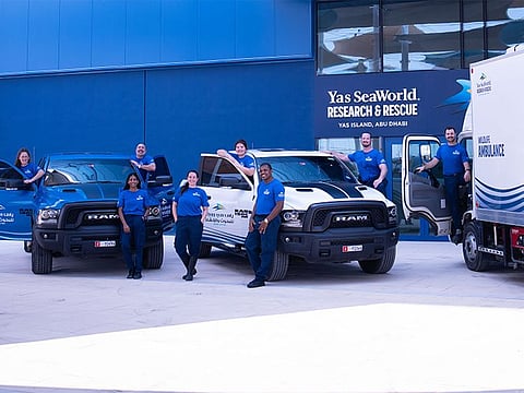 When contacted for assistance, the team of marine wildlife rescue experts from both EAD and the Yas SeaWorld Research & Rescue Centre will first assess the situation, come up with a rescue plan tailored to the type of animal that is in distress. Once the plan is communicated, the ambulance is equipped and dispatched to the rescue location to further assess the animal’s condition and initial steps of care.