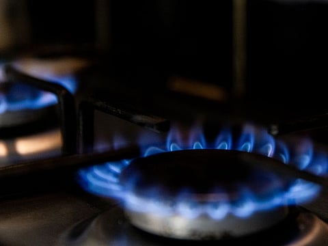 Natural gas burns on a domestic kitchen stove.