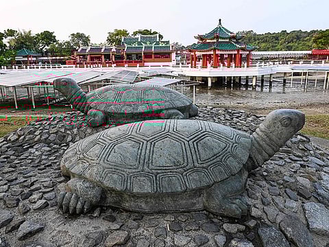 Statues of turtle during the annual pilgrimage on the ninth month of the Lunar calendar at the Da Bo Gong Temple on Kusu island in Singapore.