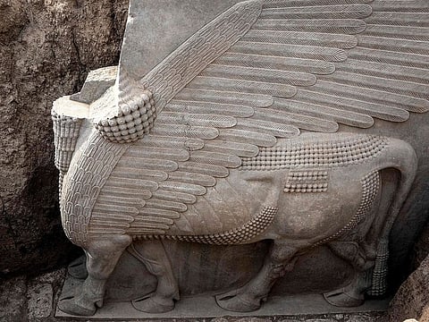 A view of a newly-unearthed Assyrian Lamassu sculpture discovered with its entire wings intact.