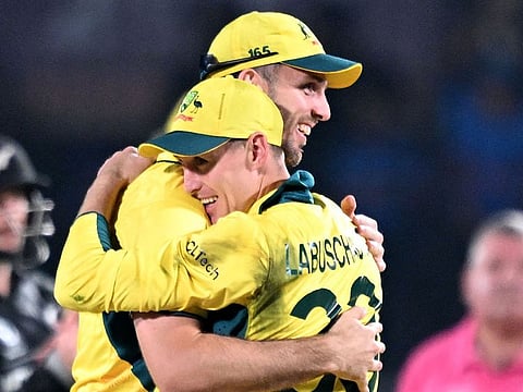 WHAT A RELIEF: Australia's players celebrate after defeating New Zealand in the 2023 ICC Men's Cricket World Cup match in Dharamsala on October 28, 2023. Australia had to weather the onslaught of Kiwi batsmen in pursuit of 389 for a win. They won by five runs.