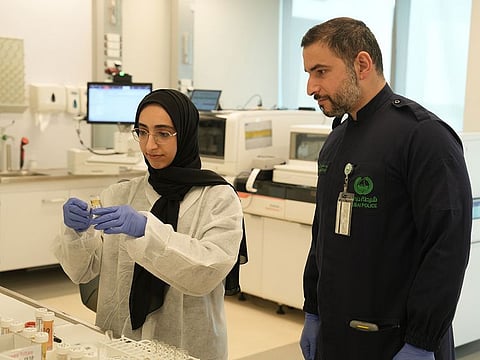 Experts from the force's Drug Observatory Centre identified 12 types of synthetic cannabinoids, two types of synthetic cathinones, and two derivatives of the drug known as LSD