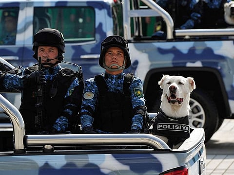 Police alabai shepherd dogs are seen riding in trucks during a military parade in central Ashgabat on September 27, 2019, on the 28th anniversary of Turkmenistan's independence. (File photo)