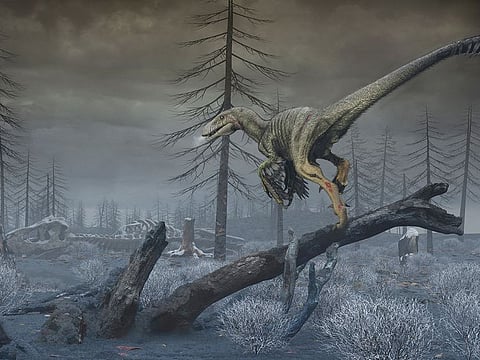 This artist's reconstruction depicts North Dakota in the first months following the impact of an asteroid off Mexico's coast 66 million years ago, showing a dark, dusty and cold world.