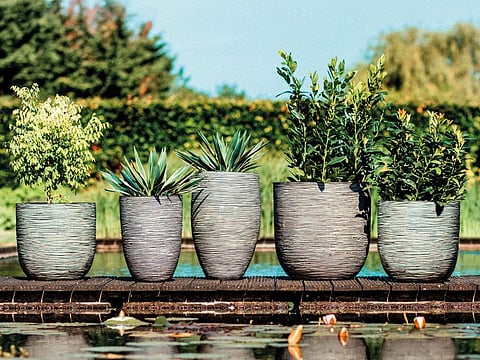 Reimagining the gardens of the future with Acacia Garden Center