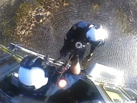 A pilot who crashed into alligator-infested Florida waters was rescued.