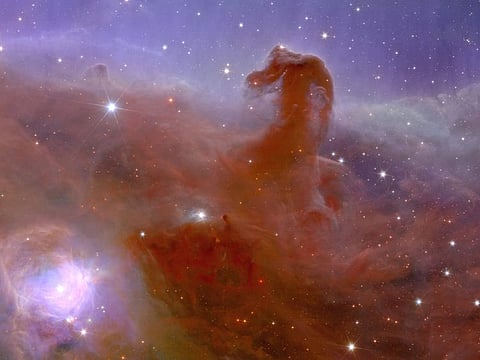 This undated handout obtained on November 2, 2023 from the European Space Agency ESA shows an alternative crop of astronomical image of a Horsehead Nebula taken during ESA's Euclid space mission, which is built and operated by the European Space Agency ESA and with contributions from NASA.