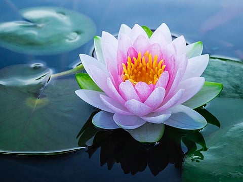 Anand Sagar he has taught and guided many, composed thousands of works of philosophy and spirituality, and was conferred the title of “Acharya” or supreme teacher