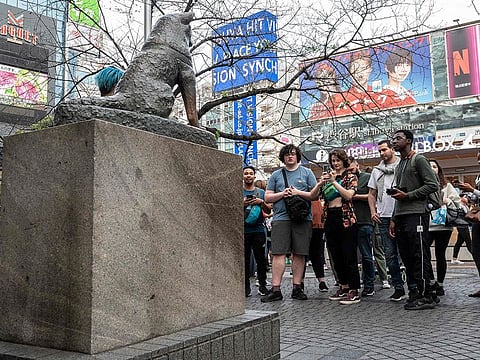 People queue up to pose for photos with the statue of "Hachiko" (L) in front of Shibuya station in central Tokyo.