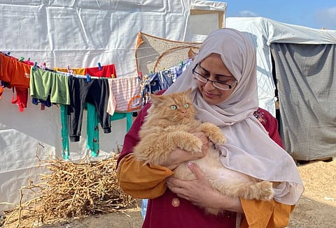 A displaced Palestinian woman carries one of the cats belonging to the Harb family at a tent camp in Khan Younis in the southern Gaza Strip on November 8, 2023.