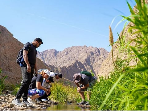 Participants can share their reflections, hopes, and plans for action with the climate leaders and negotiators at COP28 through video messages that will be displayed at COP28 on-site and online.