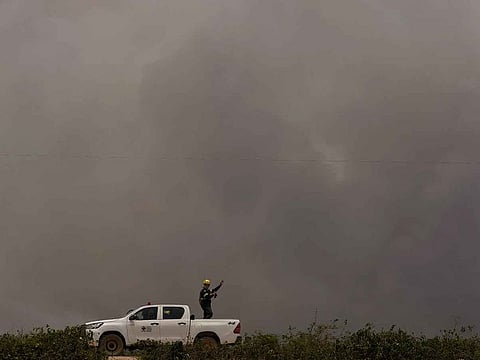 A veterinarian looks for injured animals in an area consumed by wildfires near the Transpantaneira, also known as MT-060, a road that crosses the Pantanal wetlands, near Pocone, Mato Grosso state, Brazil.