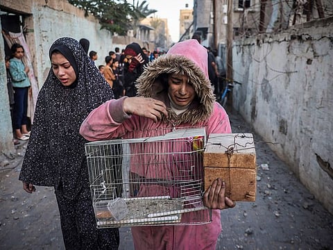 A girl from Gaza carrying a bird cage reacts as people flee following an Israeli strike in Rafah in the southern Gaza Strip