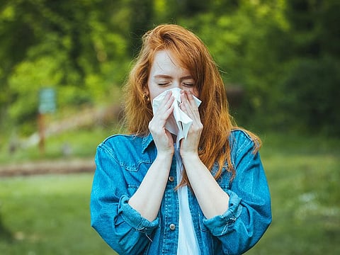 The right diet is key to the functioning of your immune system, as it consists of fibers, fermented foods like yoghurt or kimchi, which helps promote the growth of beneficial gut bacteria.