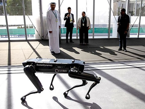 Attendees watch a Boston Dynamics Inc. Spot robot inside the Energy Transition hub within the Green Zone. The Startup Village at COP28 is a good place to learn about the robotic dog and other innovations.