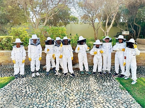 Grade 2 students of American School of Dubai are inspecting the school’s bee garden to learn about sustainable honey production