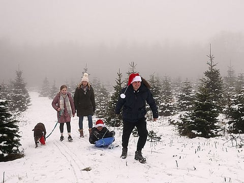 The Abell family walk through the Bradgate Christmas Tree Farm near Newtown Linford after snowfall in Leicestershire, central England, on December 3, 2023.