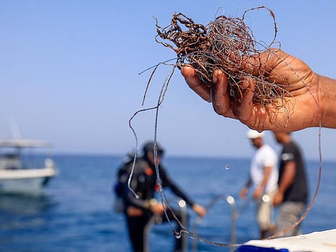 The clean-up is one example of how divers and Omani authorities are joining forces to protect the reefs.