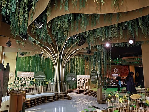 Expo City Pavilion at Green Zone is one of the must visits places at COP28 in Dubai