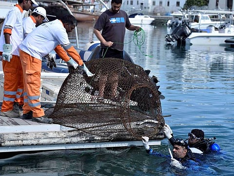Sharjah Museums Authority’s beach clean-up nets 540kg of waste