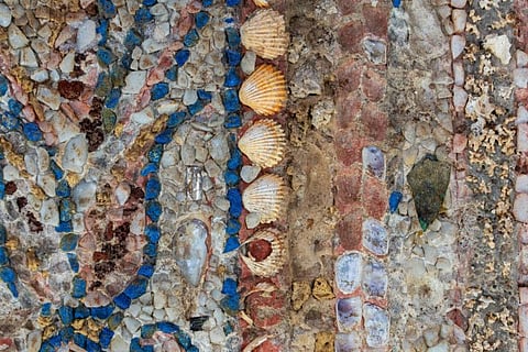This handout picture released by the Italian Culture Ministry on December 12, 2023 shows shells in mosaics uncovered in a luxurious Roman home near the Colosseum.