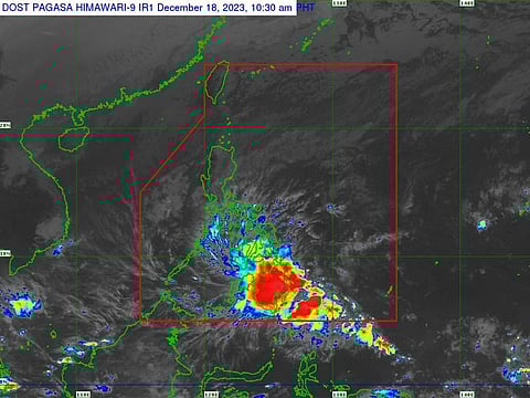 Tropical Storm Jelawat made landfall on Monday morning, the state weather service said.