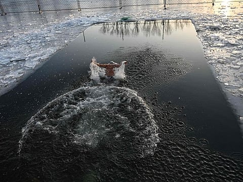 A man swims in a partly frozen lake in Beijing on December 23, 2023.