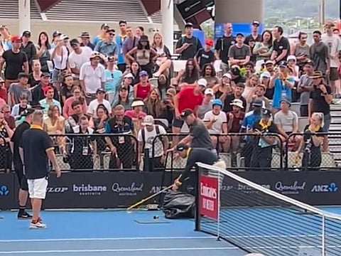 Play was halted until a snake catcher arrived and managed to tease it into a bag.