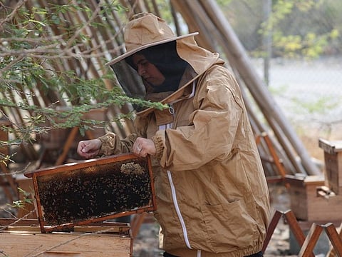 Fujairah Research Centre strives to collaborate with industries through The Emirati Researchers, demonstrating the impact of research and development on innovation and economic growth.